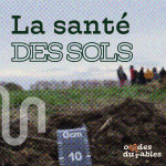 3/8 – Sensibilisation : créer du lien entre entreprises et monde agricole - La santé des sols