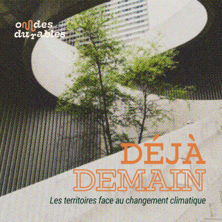 Le phénomène des « maisons fissurées » - Déjà demain
