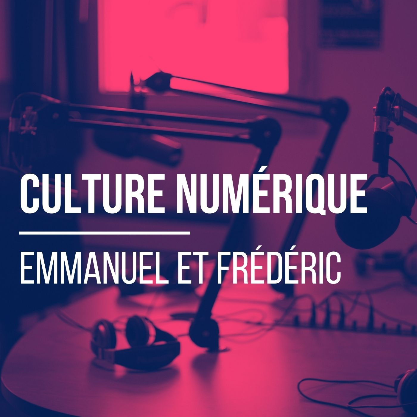 Culture Numérique - S1E1 - Ceux qui lancaient un podcast sur le numerique episode artwork