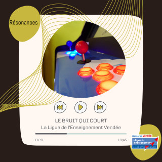 Numérique et accessibilité : quels accompagnements des publics ?